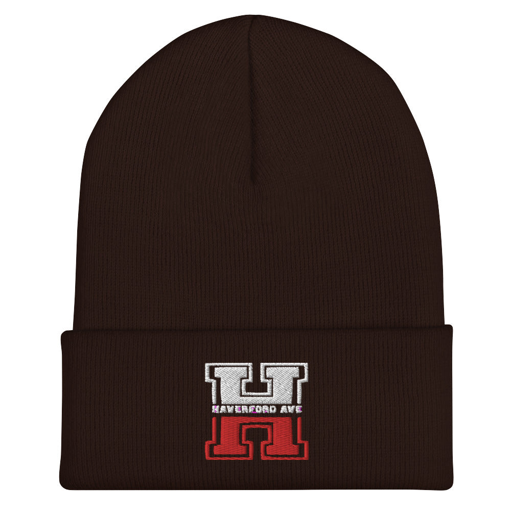 Haverford Avenue Legacy Embroidered Beanie